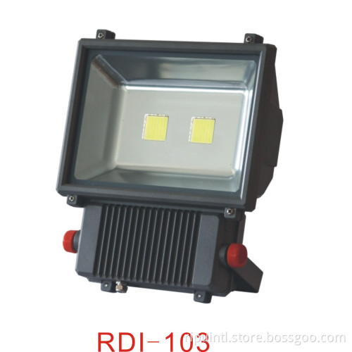 LED Flood Light (RDI-103)